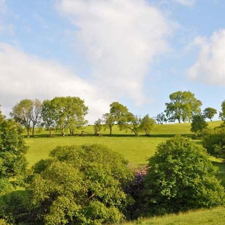 Hendre Aled Farmhouse Llansannan Exterior photo